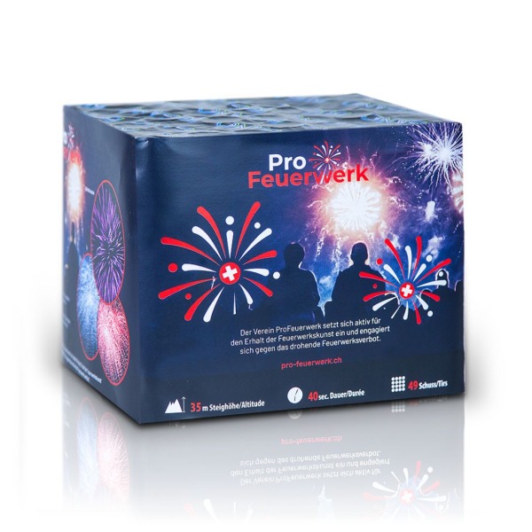 ProFeuerwerk - Art of Fire, 49 Schuss